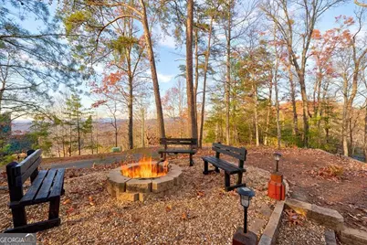 588 Tower Road, Mineral Bluff, GA 30559 - Photo 17