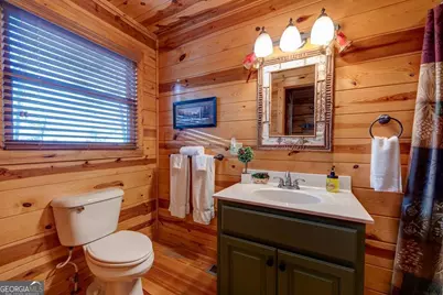 588 Tower Road, Mineral Bluff, GA 30559 - Photo 21