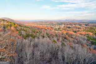 588 Tower Rd, Mineral Bluff, GA 30559 - Photo 7