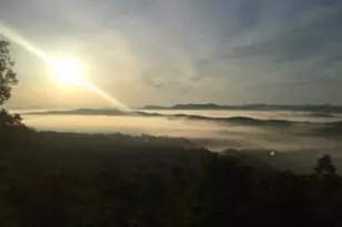 588 Tower Rd, Mineral Bluff, GA 30559 - Photo 71