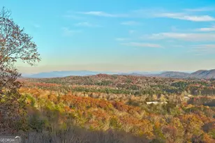 588 Tower Rd, Mineral Bluff, GA 30559 - Photo 39