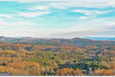 588 Tower Road, Mineral Bluff, GA 30559 - Photo 41