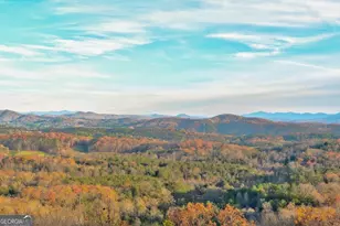 588 Tower Rd, Mineral Bluff, GA 30559 - Photo 41