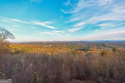 588 Tower Road, Mineral Bluff, GA 30559 - Photo 31