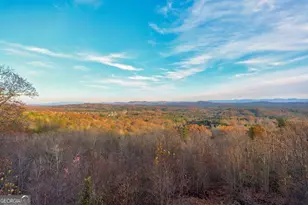 588 Tower Rd, Mineral Bluff, GA 30559 - Photo 31