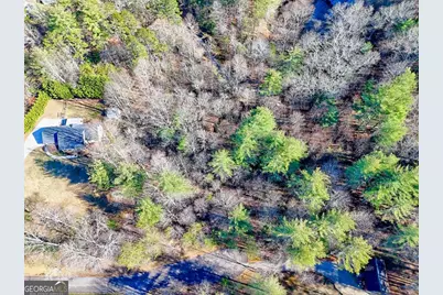 110 Souther Springs Drive, Blairsville, GA 30512 - Photo 67