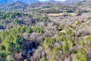 110 Souther Springs Dr, Blairsville, GA 30512 - Photo 69