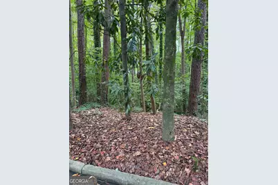 1095 Nawench Drive, Atlanta, GA 30327 - Photo 11