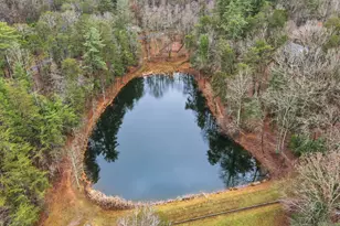 1220 Walnut Ridge, Ellijay, GA 30536 - Photo 49