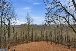 1220 Walnut Ridge, Ellijay, GA 30536 - Photo 3