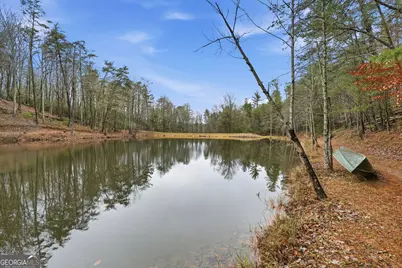 1220 Walnut Ridge, Ellijay, GA 30536 - Photo 45