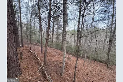 4 Lots Old Johnson Road, Murphy, NC 28906 - Photo 27