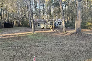 223 Donald Lamb Rd, Moreland, GA 30259 - Photo 7