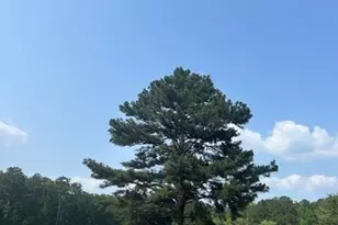 102 Whisper Trce, Peachtree City, GA 30269 - Photo 69