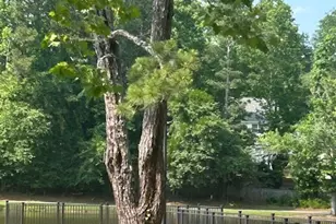 102 Whisper Trce, Peachtree City, GA 30269 - Photo 73