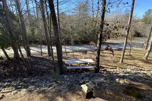 29 Agora Ln, Ellijay, GA 30540 - Photo 15