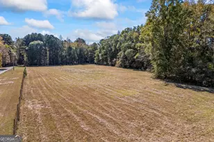 1091 E Peachtree Ave, Woodville, GA 30669 - Photo 89