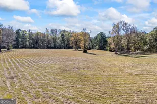 1091 E Peachtree Ave, Woodville, GA 30669 - Photo 3