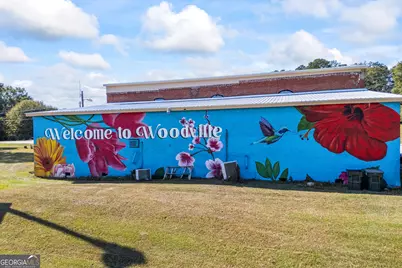 1091 E Peachtree Avenue, Woodville, GA 30669 - Photo 69