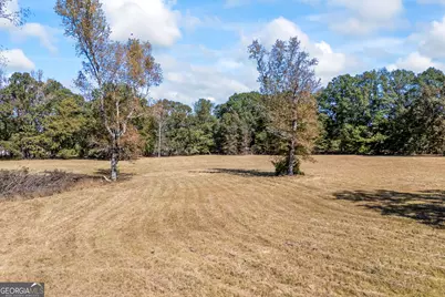 1091 E Peachtree Avenue, Woodville, GA 30669 - Photo 87