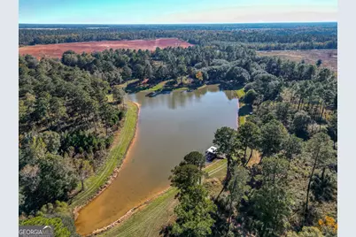 0 New York Road, Leesburg, GA 31763 - Photo 11