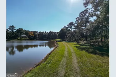 0 New York Road, Leesburg, GA 31763 - Photo 9