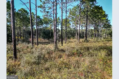 0 New York Road, Leesburg, GA 31763 - Photo 3