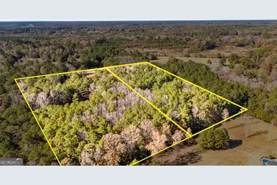 276 Lee Thompson Road, Moreland, GA 30259 - Photo 11