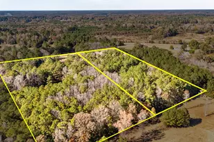 276 Lee Thompson Rd, Moreland, GA 30259 - Photo 11