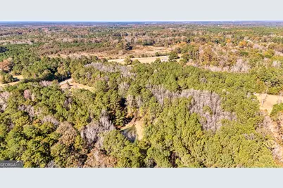 276 Lee Thompson Road, Moreland, GA 30259 - Photo 13