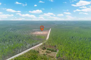 7059 Thorn Bird Rd, Waycross, GA 31503 - Photo 27