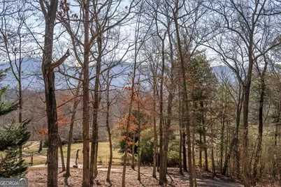 878 Copperhead Road, Blairsville, GA 30512 - Photo 7