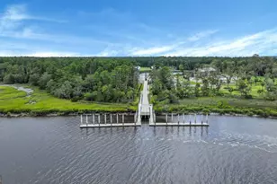 98 Small Pine Ln, Richmond Hill, GA 31324 - Photo 47