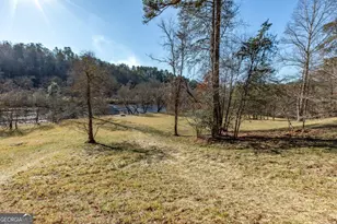661 Toccoa River Forest Ln, Mineral Bluff, GA 30559 - Photo 63
