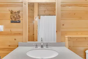 661 Toccoa River Forest Ln, Mineral Bluff, GA 30559 - Photo 41