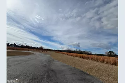 555 Limestone Road, Cochran, GA 31014 - Photo 133