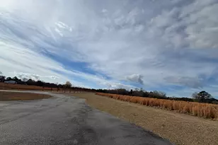 555 Limestone Rd, Cochran, GA 31014 - Photo 133