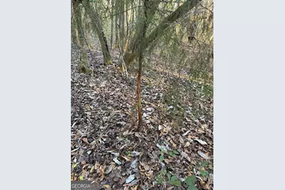 13990 Ga Highway 27, Lumpkin, GA 31815 - Photo 11