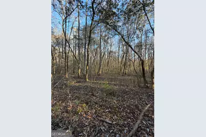 13990 Ga Highway 27, Lumpkin, GA 31815 - Photo 1