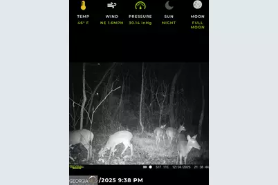 13990 Ga Highway 27, Lumpkin, GA 31815 - Photo 13