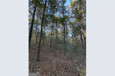 13990 Ga Highway 27, Lumpkin, GA 31815 - Photo 9