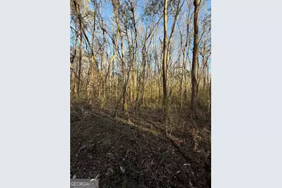 13990 Ga Highway 27, Lumpkin, GA 31815 - Photo 7