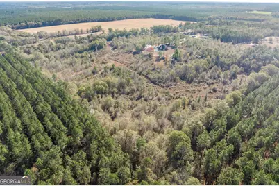 4065 Gordon Road, Abbeville, GA 31001 - Photo 45