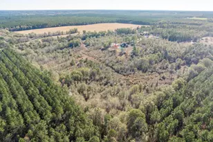 4065 Gordon Rd, Abbeville, GA 31001 - Photo 45