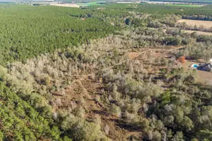 4065 Gordon Rd, Abbeville, GA 31001 - Photo 43