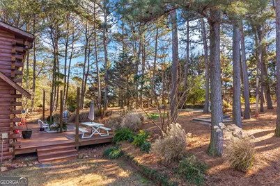 3703 Lankford Road, Lavonia, GA 30553 - Photo 69