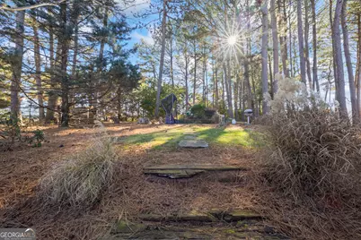 3703 Lankford Road, Lavonia, GA 30553 - Photo 91