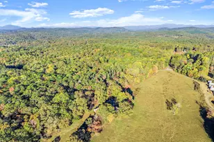 1688 Ben Jones Rd, Clarkesville, GA 30523 - Photo 35