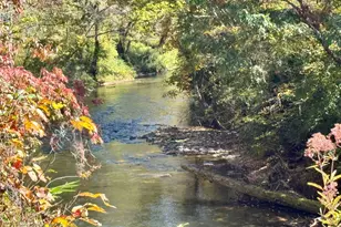 1688 Ben Jones Rd, Clarkesville, GA 30523 - Photo 37