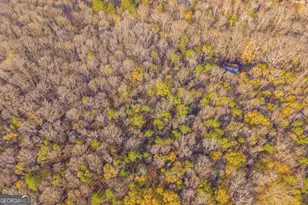 1074 Old Hoods Mill Rd, Commerce, GA 30529 - Photo 9